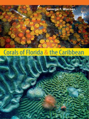 cover image of Corals of Florida and the Caribbean